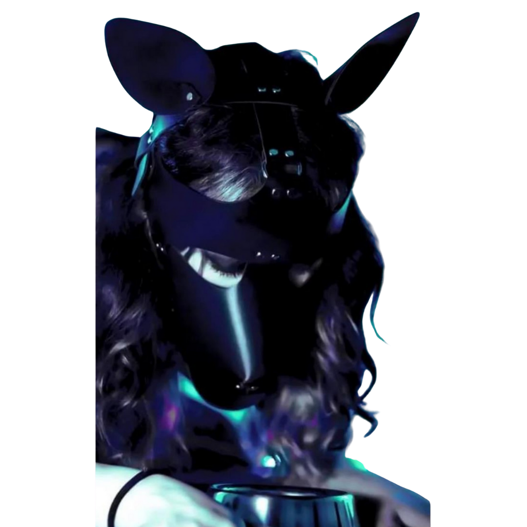 Antifaz Anubis