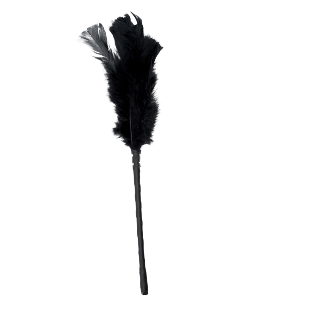 Pluma Sensual
